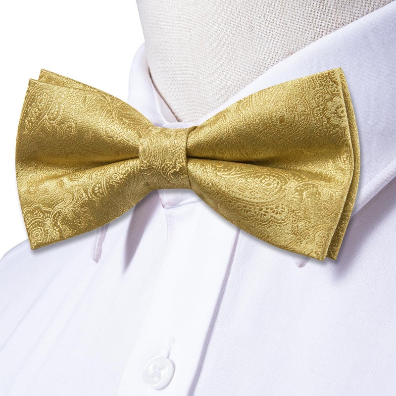 Dubulle Mens Gold Paisley Striped Bowtie Set Pre-tied Bowtie for Men and Pocket Square Set Wedding Business - Image 3